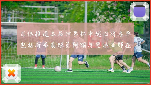 东体报道本届世界杯中超旧将名单包括海港前球员阿瑙与恩迪亚耶在内的10位球员